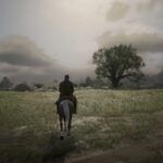 Red Dead Redemption 2 - Author Morgan with his horse with dynamic weather