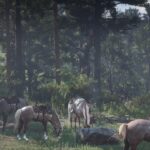 Red Dead Redemption 2 - NPCs and Horses