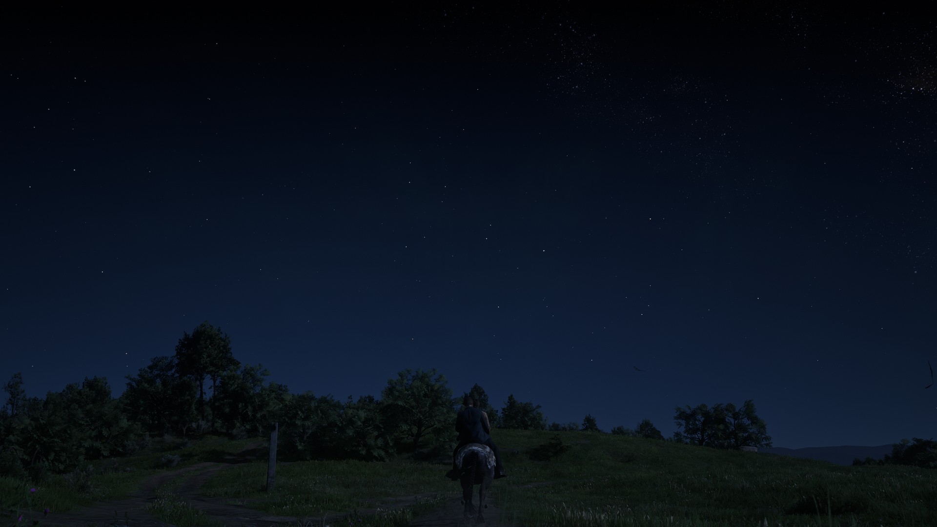 Red Dead Redemption 2 - Wallpaper